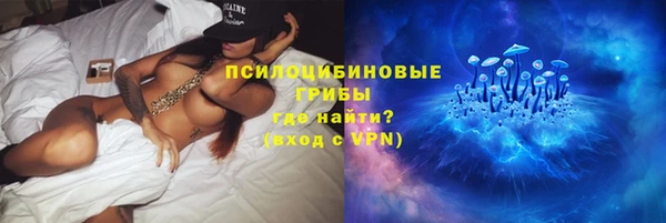 крисы Аркадак