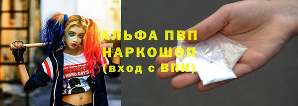 крисы Аркадак