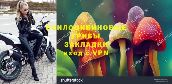 мдпв Арсеньев