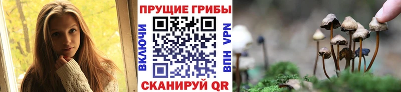 Псилоцибиновые грибы прущие грибы  Радужный 