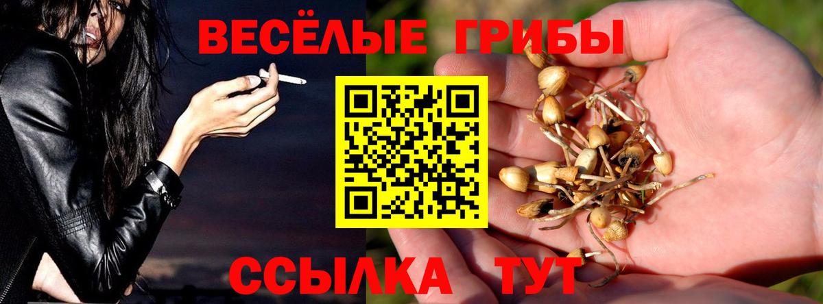 Радужный  Псилоцибиновые грибы прущие грибы  Псилоцибиновые грибы прущие грибы  даркнет сайт  Вход с VPN 
